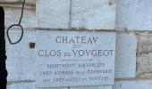 Randonnée Marche Vougeot - Autour de Clos Vougeot - Photo 16