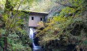 Tour Wandern Baztan - Infernuko errota - le moulin de l'enfer 2024/02/20. - Photo 9