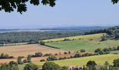 Tour Wandern Bouxières-aux-Chênes - bouxieres aux chênes - Blanzey - Photo 16