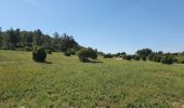 Tour Wandern Boulbon - le château de Boulbon - Photo 10