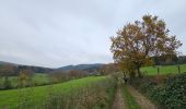 Trail Walking Stavelot - Stavelot et ses hameaux  - Photo 5