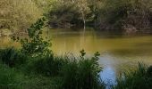 Tocht Stappen Delincourt - Delincourt, Le Mesnil, Reilly, La vierge, Delincourt - Photo 11