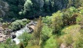 Tocht Stappen Canelas e Espiunca - Passadicos do Paiva walkways  - Photo 5