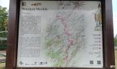 Trail On foot Canossa - Sorbolo - Montecchio Emilia - San Polo D'Enza - Ciano d'Enza - Photo 9