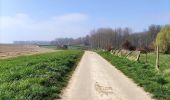 Trail Walking Tongeren - Promenade de la beauté cachée à Lauw  - Photo 1