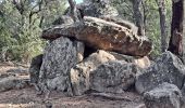 Percorso Marcia Argelès-sur-Mer - Boucle des dolmens et chapelle St.Laurent - Photo 5