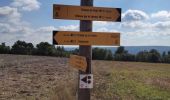 Trail Walking Gréoux-les-Bains - Gréoux boucle st.Martin - Photo 13