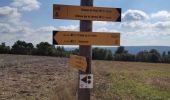 Tour Wandern Gréoux-les-Bains - Gréoux boucle st.Martin - Photo 13