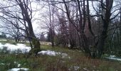 Tocht Te voet Winterberg - Heilklimatour 1 - Wald genießen - Photo 8