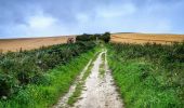 Randonnée A pied Vale of White Horse - White horse circular walk - Photo 2