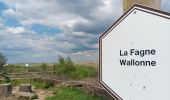 Trail Walking Waimes - baraque michel - botrange via fagne de polleur, retour via fagne wallonne  - Photo 7