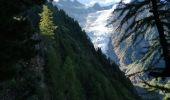 Excursión Senderismo Chamonix-Mont-Blanc - Glaciers des Bossons  - Photo 5