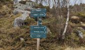 Trail Walking Unknown - Landasfejellet - Photo 6