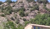 Tour Wandern La Garde-Freinet - Boucle Garde-Freinet - Serre-Long - Photo 1