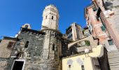 Tocht Stappen Vernazza - sejour-cinq-terres-4eme-jour-corniglia-manarola-riomaggiore - Photo 1