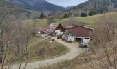 Excursión Senderismo Bourbach-le-Haut - Bourbach la Fourmi - Photo 2