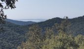 Tour Wandern Hyères - les Borel les 2 - Photo 3