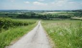 Tour Mountainbike Wirten - Le Bévaux et Saint-Pancré  -  Balade_VTT_34kms - Photo 19