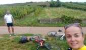 Tour Rennrad Molsheim - Molsheim - Turckheim  - Photo 4