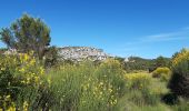 Trail Walking Eygalières - Petit et Gros Calan - Photo 2