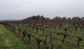 Trail Walking Villegouge - Villegouge - Photo 2