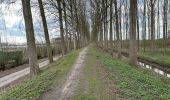 Trail Walking Dendermonde - Dendermonde Moerzeke 19,5 km - Photo 5