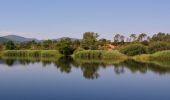 Percorso Marcia Le Cannet-des-Maures - Boucle autour du Lac des Escarcets - Photo 10