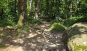 Tour Wandern Soisy-sur-École - Soizy-sur-Ecole - La Padole - Photo 1