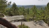 Tour Wandern Noisy-sur-École - Sentier des 25 bosses (1ère moitié) - Photo 10