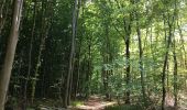 Percorso Marcia Notre-Dame-de-Bondeville - Randonnée en forêt Domaniale de Normandie - Photo 2