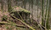 Trail Walking Brassac - Ruisseau du Ser  - Photo 2
