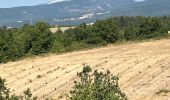 Trail Horseback riding Revest-du-Bion - Provence 2025 J5 - Photo 11