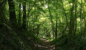 Trail Walking Bourg-et-Comin - Bourg Comin Paissy troglodytes  - Photo 1