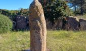 Randonnée Marche Saint-Raphaël - Menhirs D100 - Photo 13