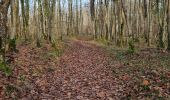 Trail Walking Marcilly-en-Beauce - Varennes - Photo 8