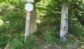 Trail Walking Trois-Ponts - logbierme 060824 - Photo 4