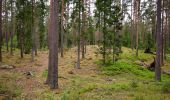 Trail On foot Unknown - Fylleryd, vitgul - Photo 10