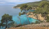 Excursión Senderismo Bandol - Bandol à Port d’Alon, retour par les Engraviers - Photo 5