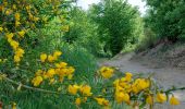 Tocht Stappen Dison - 4821 Andrimont (Verviers) 15Km marche adeps du 15/05/2022 - Photo 12