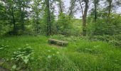 Tocht Stappen Vresse-sur-Semois - Promenade de la Roche à Campa - Orchimont - Photo 2