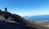 Trail Walking Collioure - MADELOC depuis col de la serra, via col formigo,  batterie 500, madeloc, col tellaferra  - Photo 4