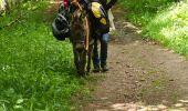 Trail Walking Xonrupt-Longemer - 2024 RA Vosges J1 Rando âne sur les crêtes - Photo 12