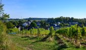 Tour Wandern Anhée - RB-Na-22-raccourci_Vignobles-et-Jardins-d’eau - Photo 2