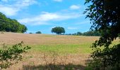 Trail Walking Esneux - mery . hayen . hautgne . betgne . fontain . avionpuits . mery - Photo 1