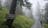 Excursión Senderismo Passy - J10 - R8 - Plaine Joux - Les Ayères - Lac Vert  - Photo 11