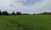 Tour Wandern La Montagne - 01-05-24 St Bresson - Photo 5