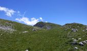 Excursión Senderismo Saint-Agnan-en-Vercors - pas de pousterle pas de berrieves depuis pré rateau - Photo 3