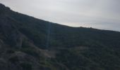 Tocht Noords wandelen Toulon - château vallon  - Photo 9