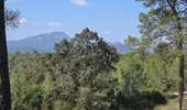 Tour Wandern Assas - Assas et forêt - Photo 5