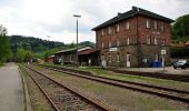 Tour Zu Fuß Freyung - Rundwanderweg Nr. 10 Bergholz - Langholz - Photo 8